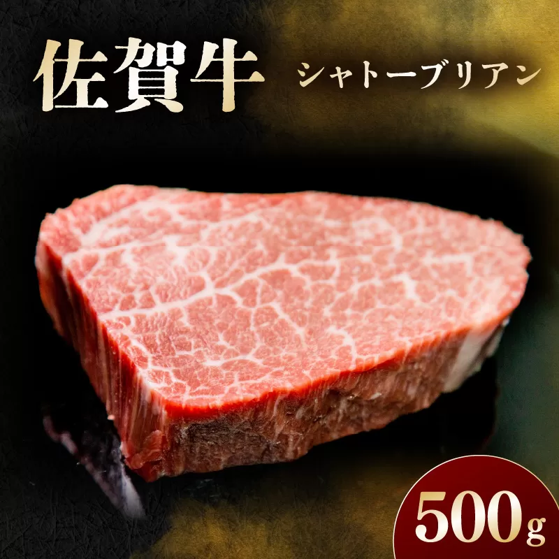 佐賀牛 シャトーブリアン 500g 194-J1608