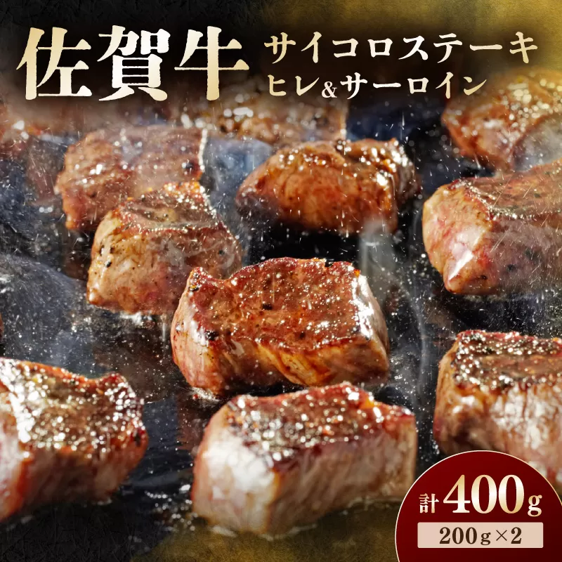 佐賀牛 高級部位ヒレとサーロインの食べ比べセット 194-J1899