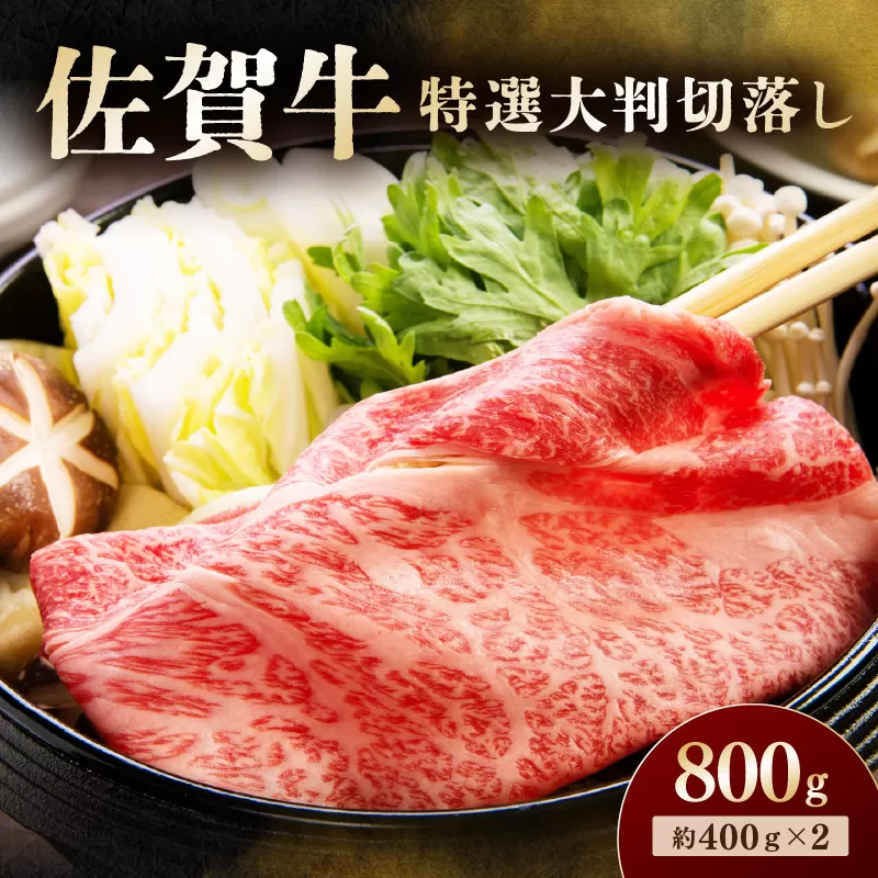 佐賀牛 特選大判切落し 800g 194-J1614
