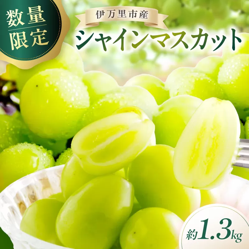 【 数量限定 】 令和8年産 伊万里産 シャインマスカット 約1.3kg 197-B887