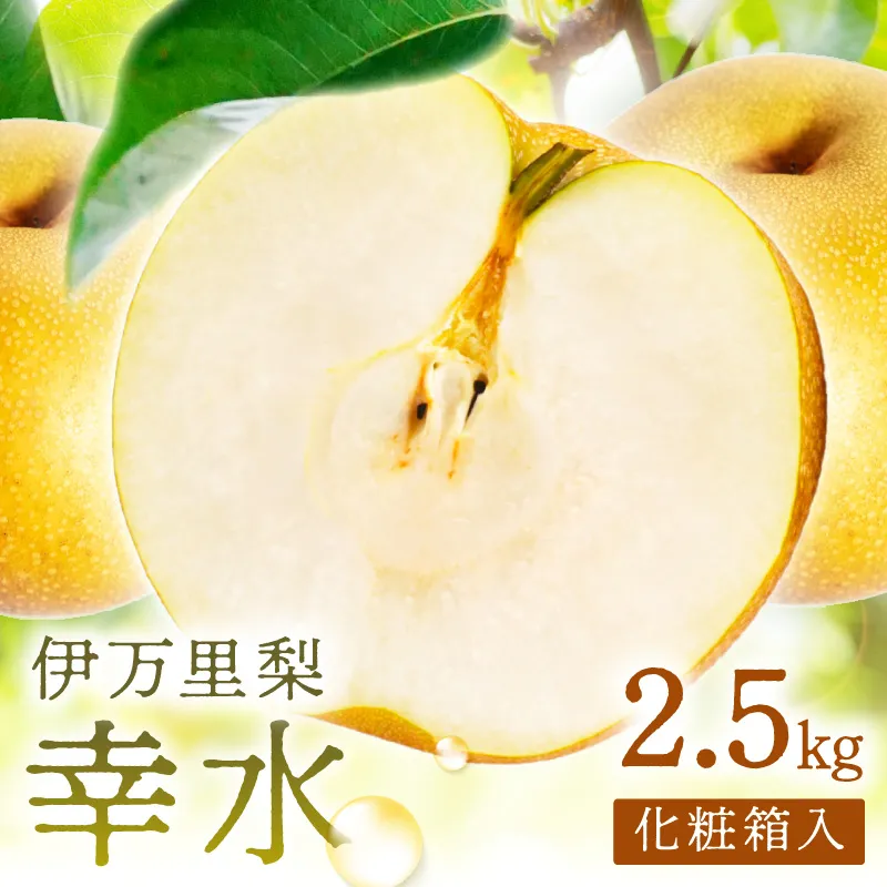 【 数量限定 】 伊万里 梨 幸水 2.5kg 化粧箱 199-B1081