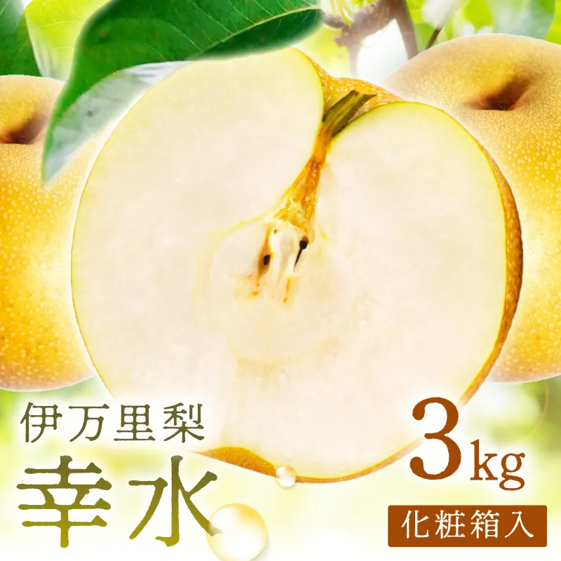 【 数量限定 】 伊万里 梨 幸水 3kg 化粧箱 199-B1082