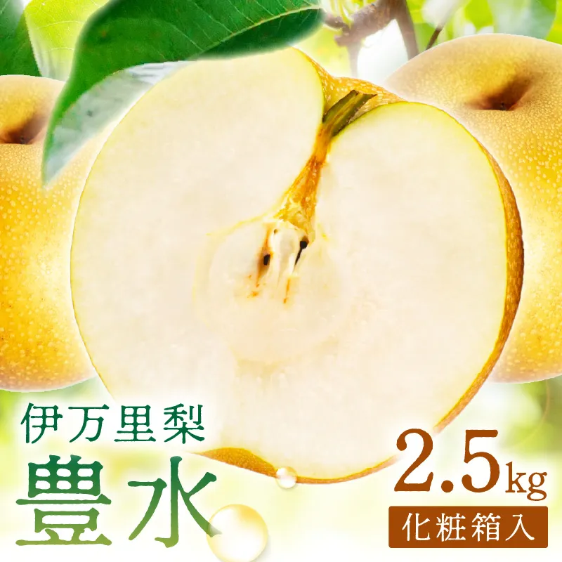 【 数量限定 】 伊万里 梨 豊水 2.5kg 化粧箱 199-B1083
