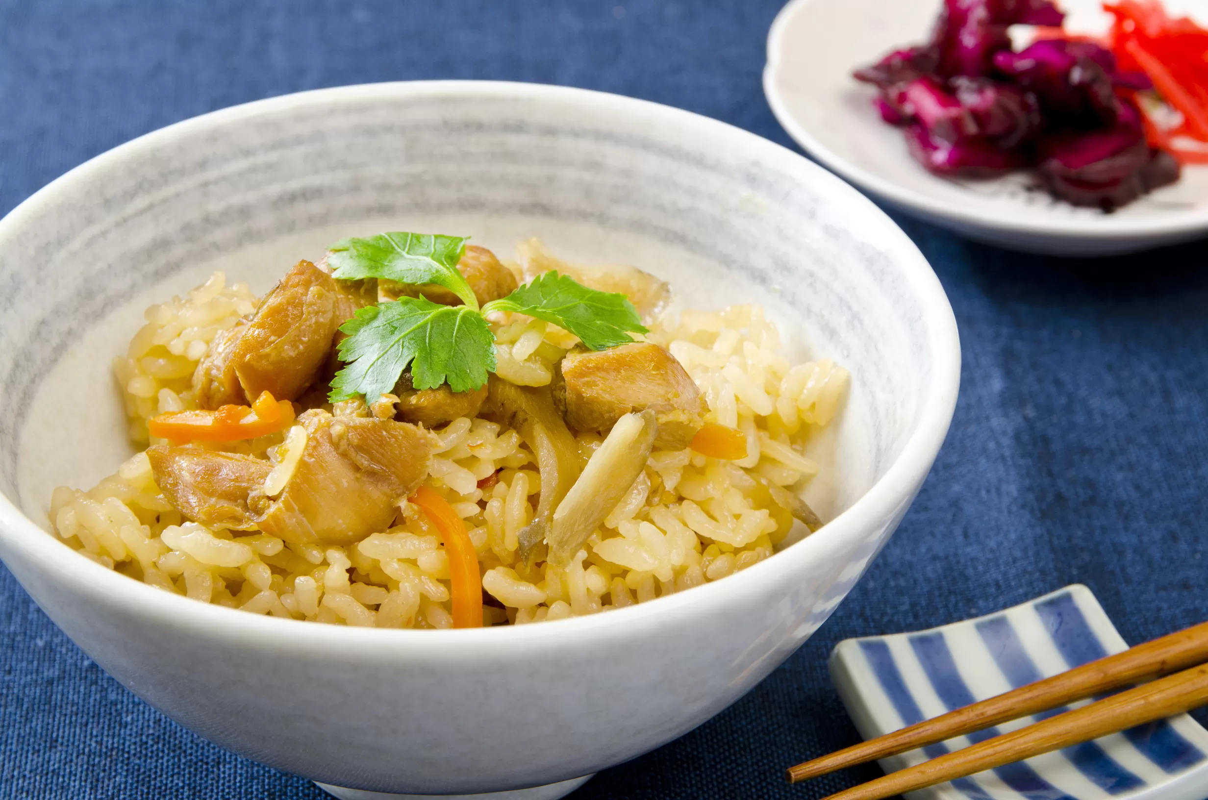 ありたどり 鶏めしのもと 202-C222