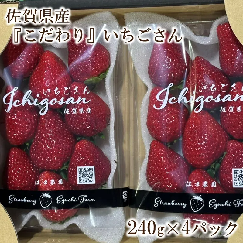 佐賀県産『こだわり』いちごさん 240g×4パック 226-B1129