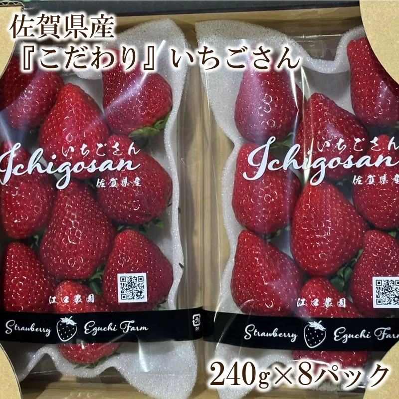 佐賀県産『こだわり』いちごさん 240g×8パック 226-B1130