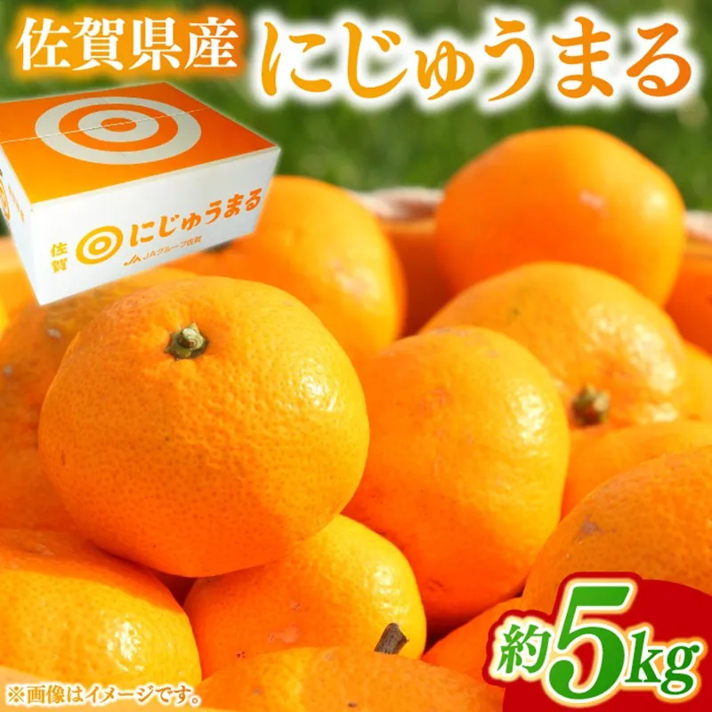 佐賀県産にじゅうまる 5kg 226-B1020