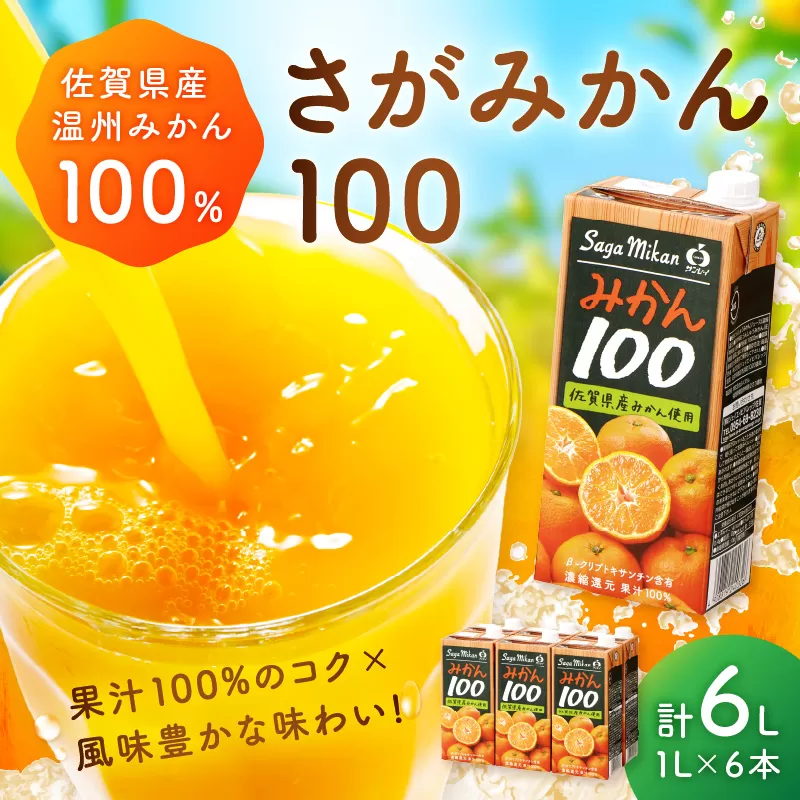 【佐賀県産温州みかん使用】 みかんジュース さがみかん100 1L×6本 果汁100% 173-A057