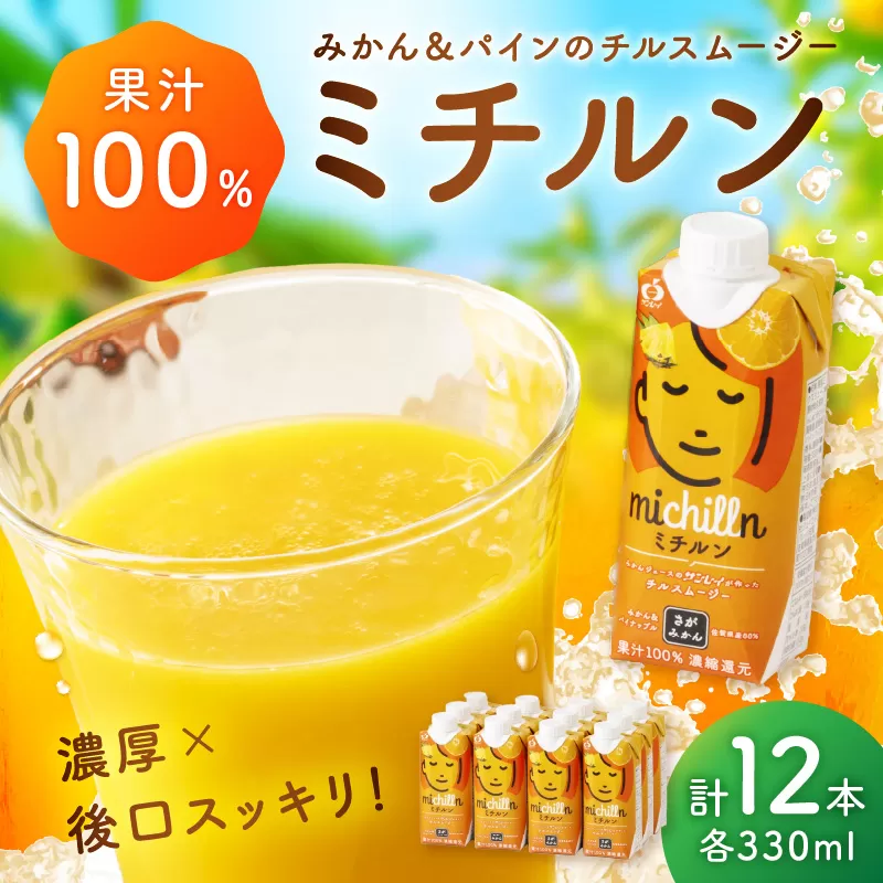 【佐賀県産温州みかん使用】 果汁 ミックスジュース ミチルン 330ml×12本 173-A058