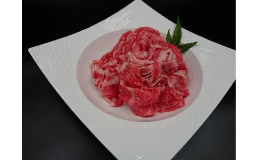 117-J2633 佐賀牛 いろいろ切り落とし小分けタイプ 150g×4
