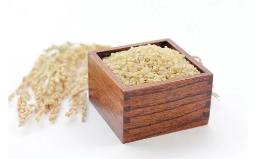 佐賀県産ゆめしずく(特A) 玄米5kg×6回定期便 999-B829