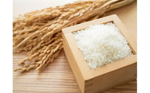 佐賀県産ゆめしずく（特A） 白米4.5kg×6回定期便 999-B828