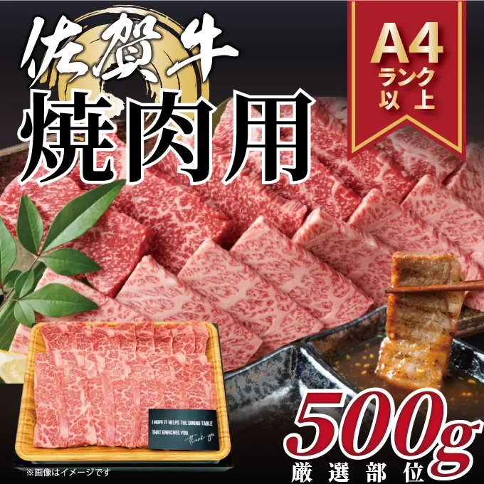 【 佐賀牛 】 艶さし！ 焼肉用 500g 159-J1038