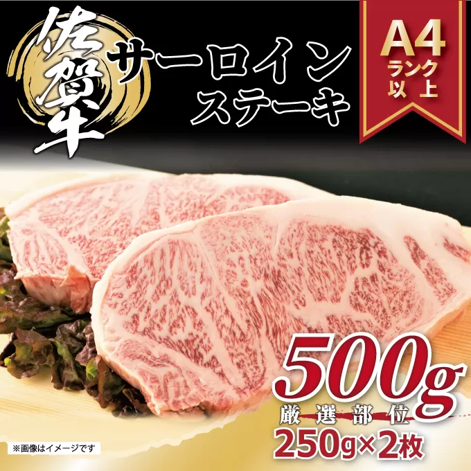 【 佐賀牛 】 艶さし！ サーロイン ステーキ セット 500g（250g×2枚） 159-J1054