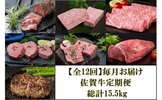 【全12回】毎月お届け 佐賀牛 定期便 総計15.5kg 999-J475