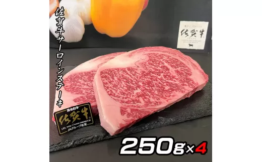佐賀牛A5サーロインステーキ250g×4枚 161-J776