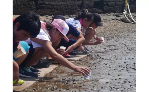 牧島地区まちづくり運営協議会の活動を応援！【思いやり型返礼品（協賛型）】 109-O014