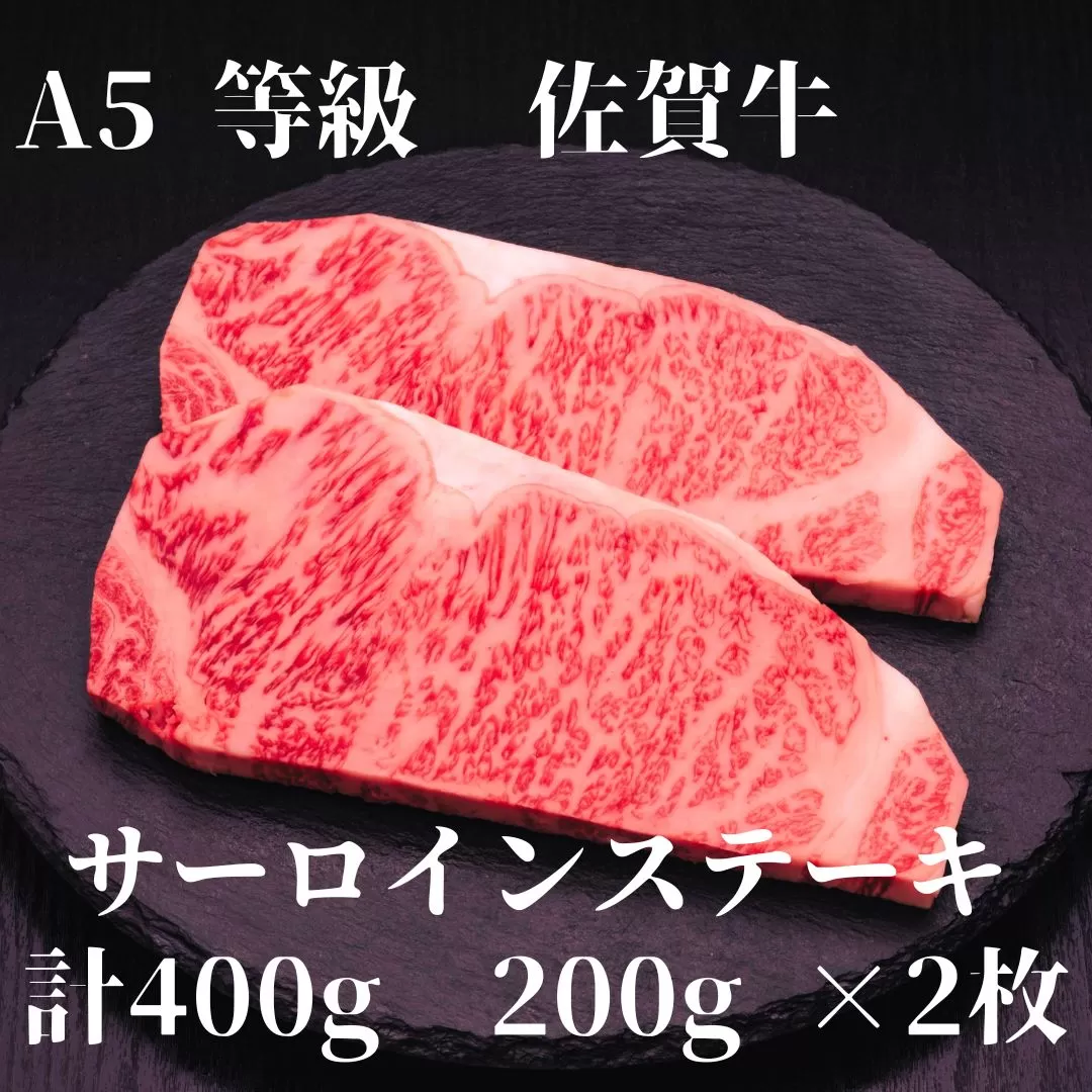 【佐賀牛】 A5等級 佐賀牛 サーロイン ステーキ 400g（200g×2枚） 175-J925