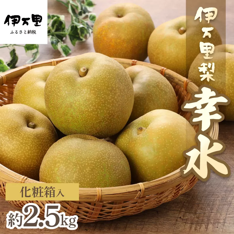 【2026年産先行予約】伊万里梨「幸水」化粧箱入 約2.5kg 178-B159