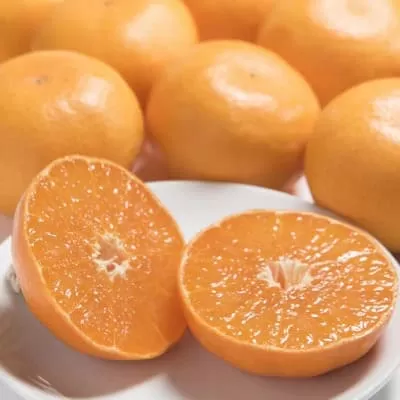 佐賀産せとか 約3kg (7-12玉) (伊万里市) 柑橘類 147-B801