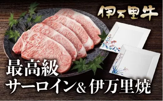 伊万里牛サーロインステーキと伊万里焼皿セット 015-J285