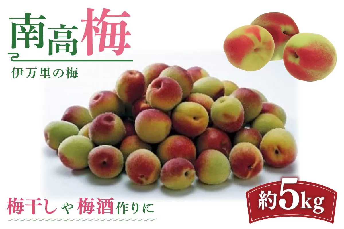 伊万里の梅 南高梅 5kg入り 003-B967