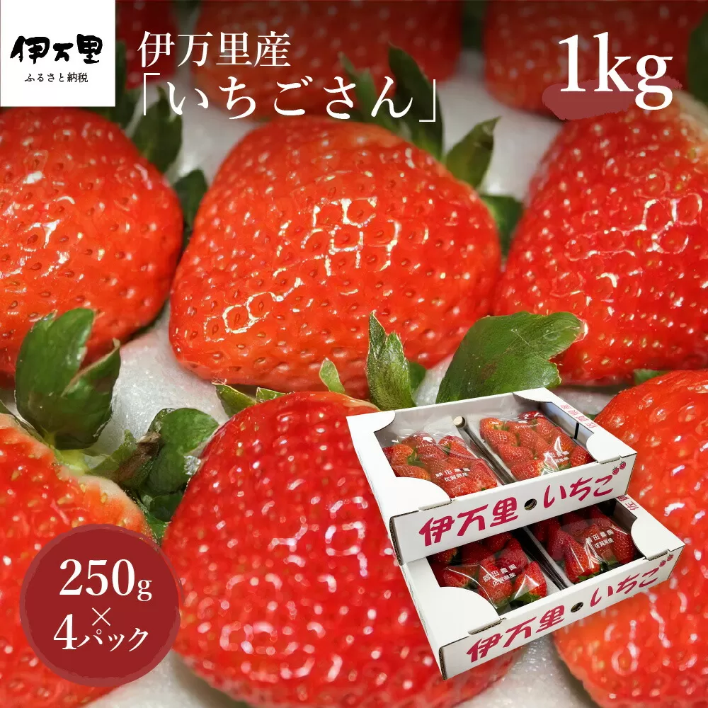 伊万里産「いちごさん」 250g×4 パック ～鶴田農園～ 046-B832