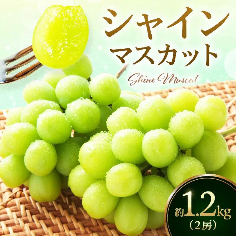 【数量限定】令和8年産 伊万里 シャインマスカット 約1.2kg(約600g×2房) 182-B628