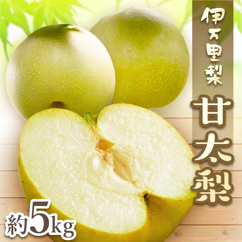 【2025年産先行予約】伊万里梨 「甘太」 約5kg ご自宅用におすすめ 178-B762
