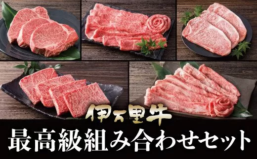 伊万里牛 美味組み合わせ 定期便 【5回便】ステーキ すき焼き 焼肉 999-J616