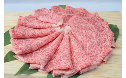 佐賀牛ローススライス しゃぶしゃぶ用 500g （500g×1パック） 149-J674