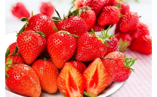 伊万里のいちご「いちごさん」化粧箱 003-B955