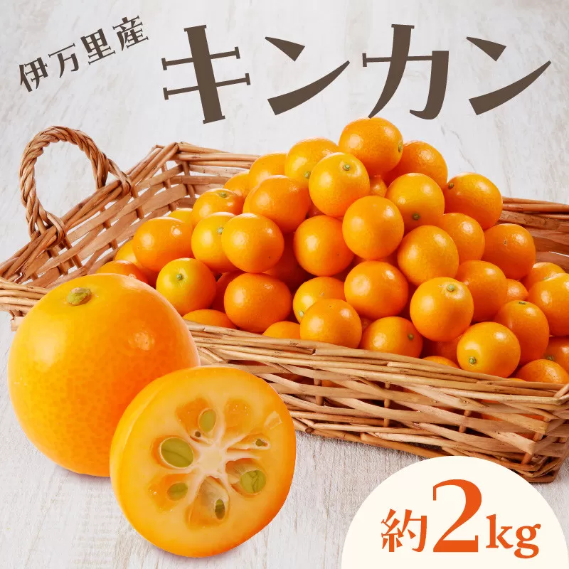 【減農薬】伊万里産キンカン (2Lサイズ)2kg 柑橘類 003-B966