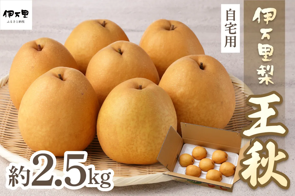 【2026年産先行予約】伊万里梨「王秋」 約2.5kg 178-B1071