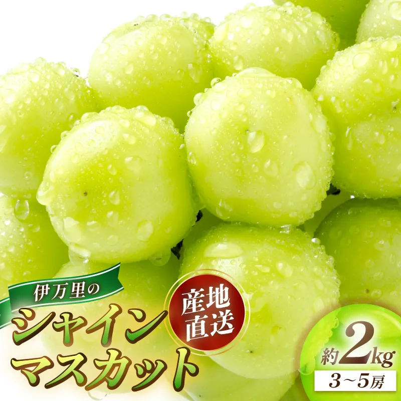 伊万里のシャインマスカット 約2kg（3～5房） 178-B984