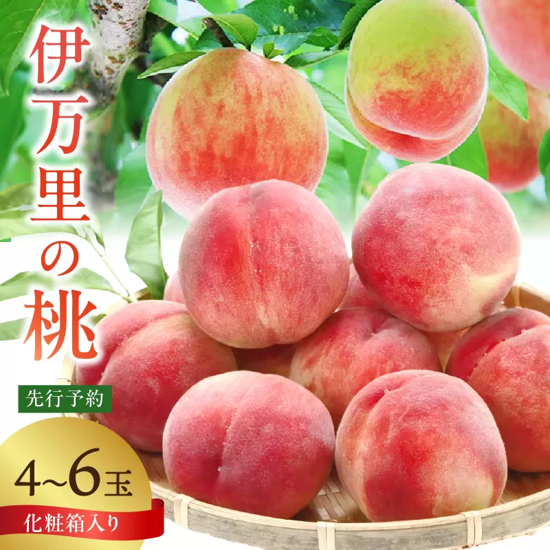 【先行予約】伊万里の桃 化粧箱入り（4～6玉） 178-B962