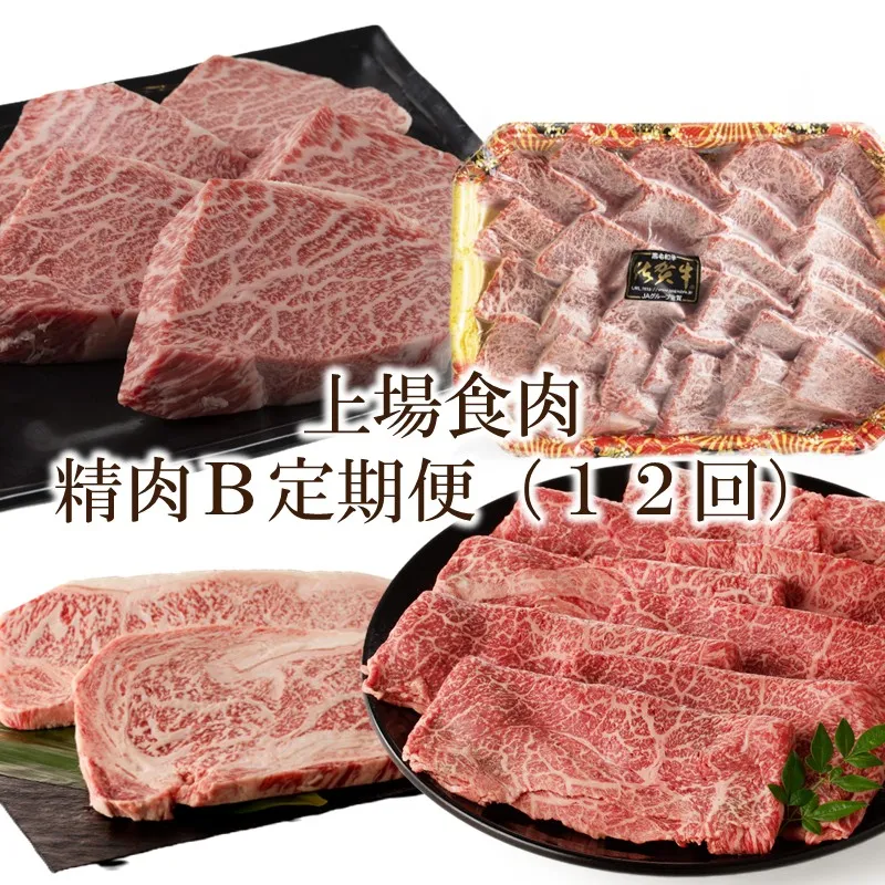 上場食肉｜精肉B定期便（12回） 999-J2033
