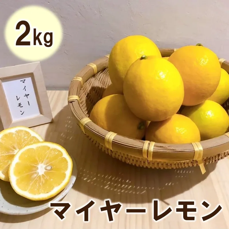 マイヤーレモン2kg 227-B1196
