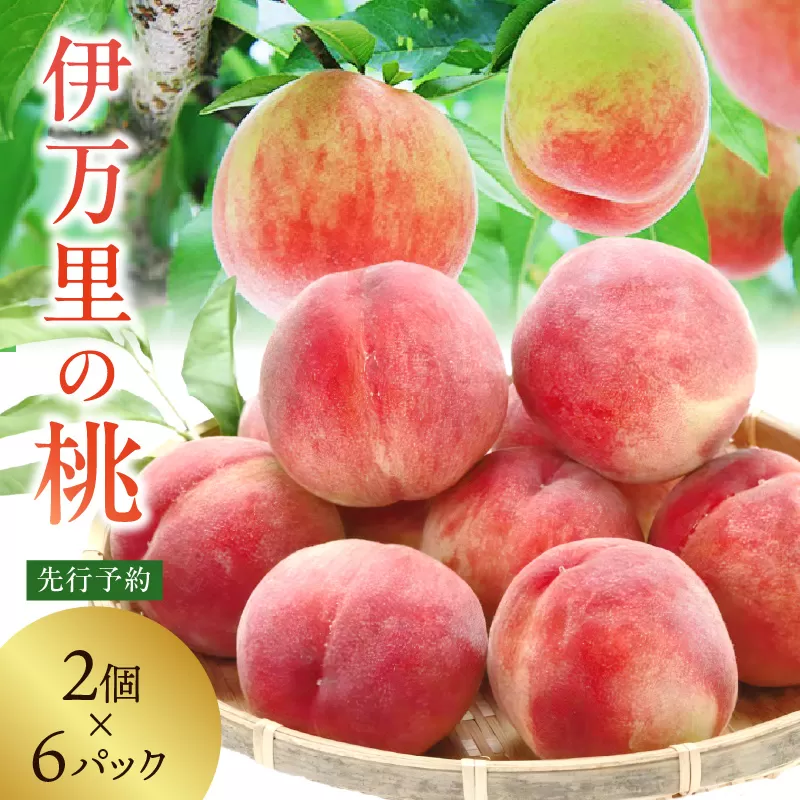 【先行予約】伊万里の桃 2個×6パック B123