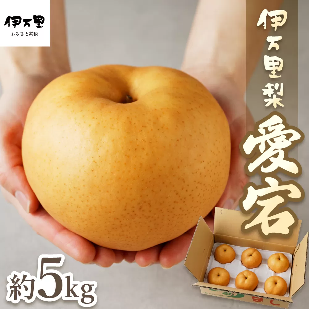 【令和7年産先行予約】伊万里梨 「愛宕」 約5kg 大型種 B164