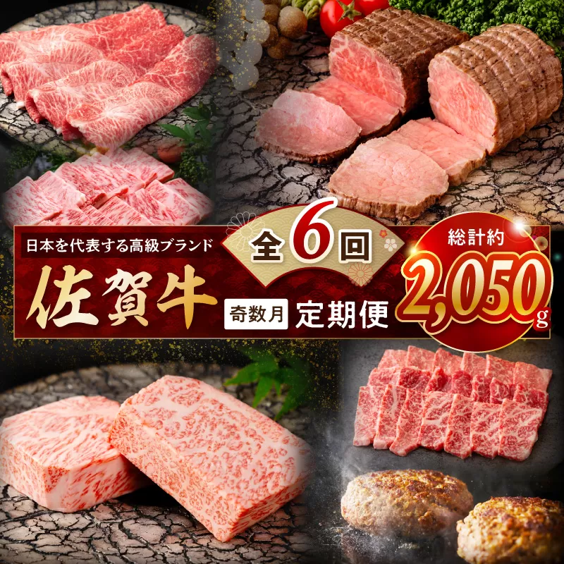 【発送月固定 定期便】肉の定期便! 厳選 佐賀牛 隔月お届け（奇数月）全6回 J1169