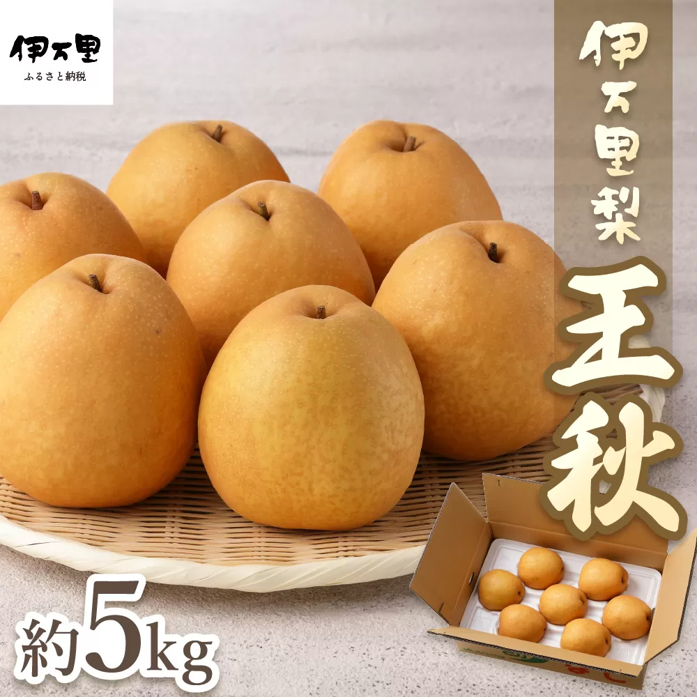 【2025年産先行予約】伊万里梨「王秋」 約5kg  B163