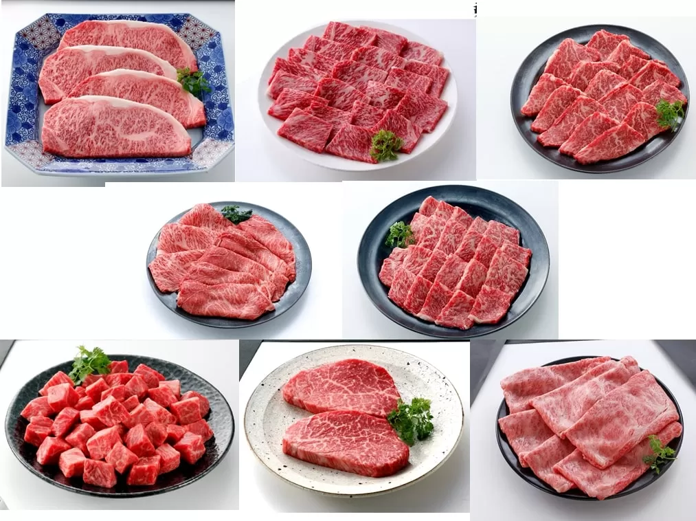 伊万里牛あじわい定期便 6回便 ヒレステーキ 焼肉 すき焼き しゃぶしゃぶ J954