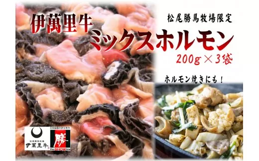 伊万里牛ミックスホルモン 約600g ホルモンたれ付 J727