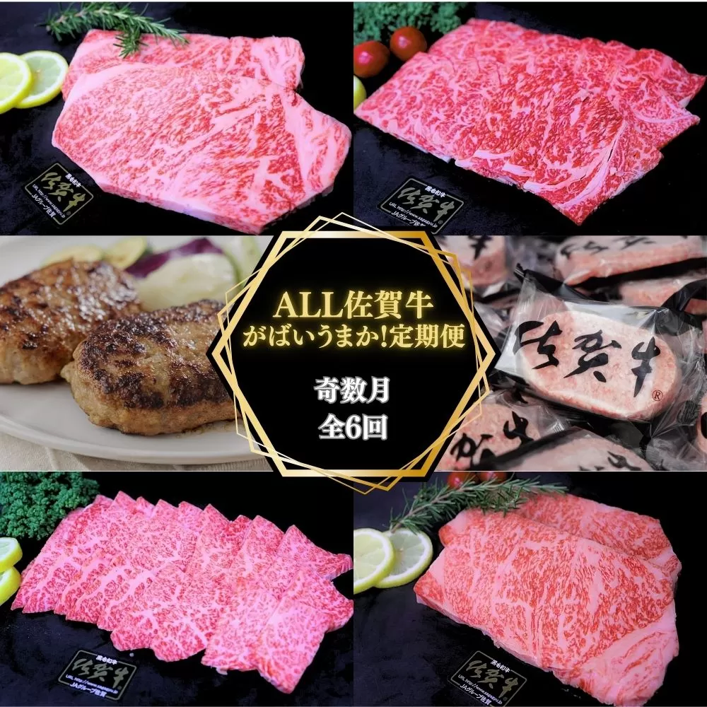 【奇数月に計６回】ALL 佐賀牛 がばいうまか 定期便 191-J1388