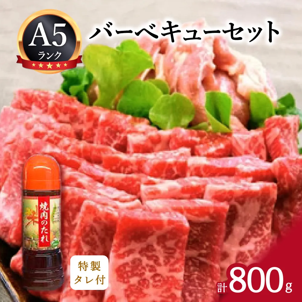バーベキューセット 伊万里牛 モモ 鶏肉 約800g 002-J2159