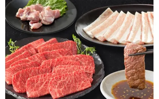 スタミナ満点!バーベキューセット 約1kg モモ 牛肉 豚肉 鶏肉 002-J2158