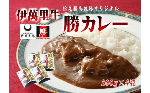レストラン勝オリジナル伊萬里牛カレー【中辛】4食分 007-J2647