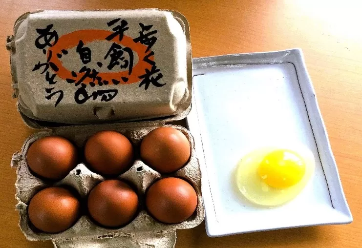 歩く花 たまご 卵 6個入り×2箱 164-B529