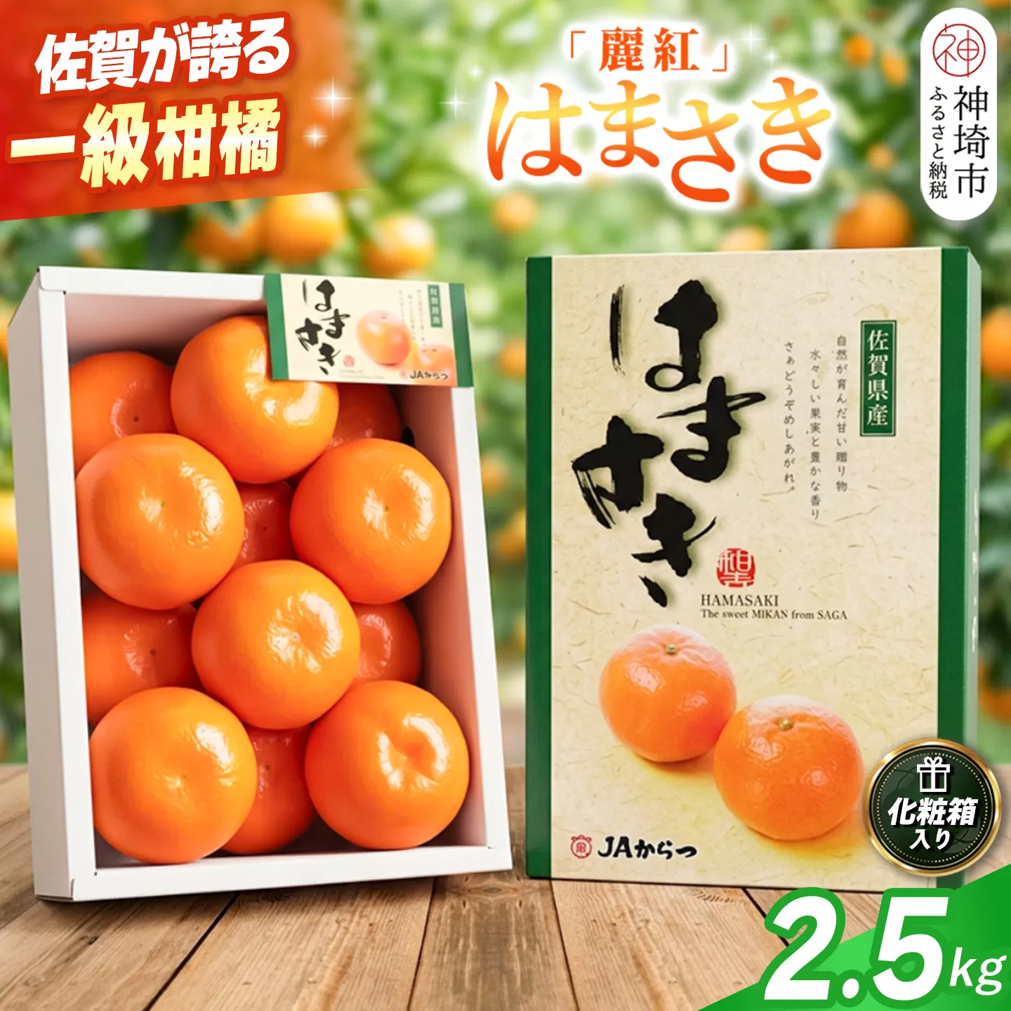 【2027年2月上旬より発送開始】【麗紅】はまさき 2.5kg【みかん 一級品 柑橘 フルーツ デザート】(H116144)